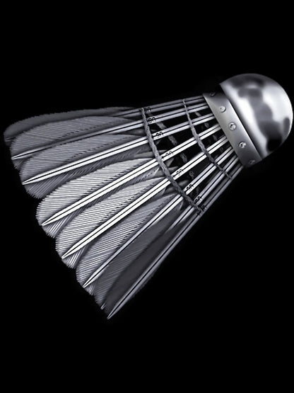 3D Metal Ba