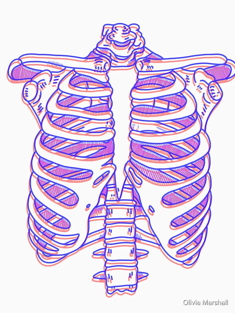3D Rib-cage