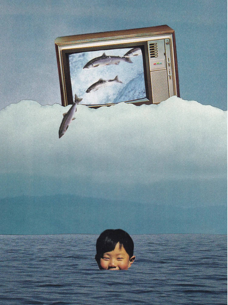3D television